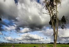 VSport胜利:“我让其他事情进入我的脑海” – 飞镖之星誓言在震惊世界锦标赛之后开始新的章节.