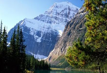 VSport胜利官网入口：[流言板]首尔FC官方：球队中场帕洛切维奇租借加盟南通支云10亮17回复.